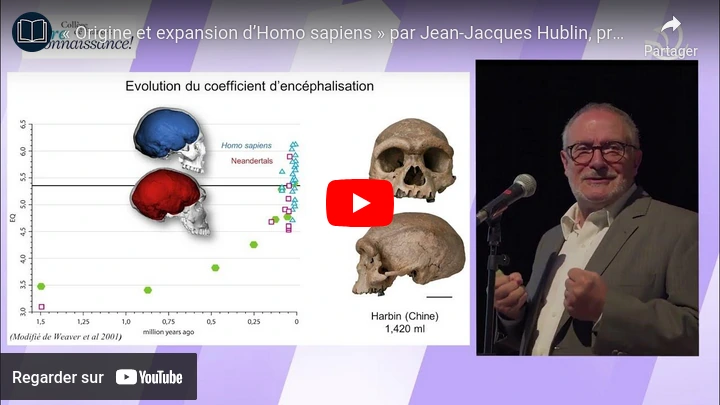 Expansion de l'Homo-Sapiens : Jean-Jacques Hublin